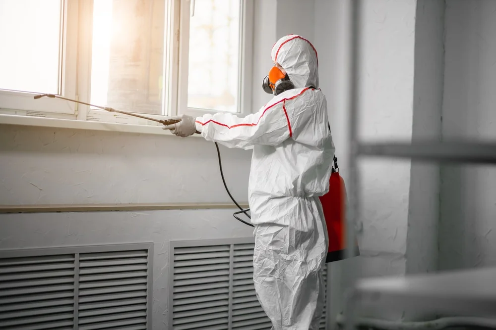 Professional mold remediation services in Markle, IN